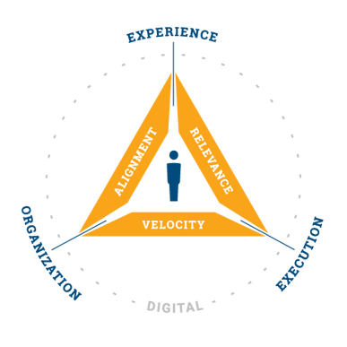 Intevity's Digital Triality Model