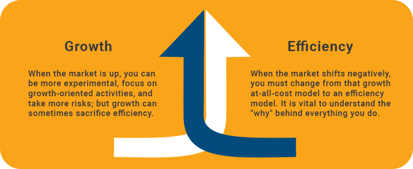 Growth and Efficiency V5