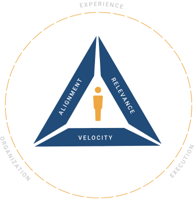 triality graph